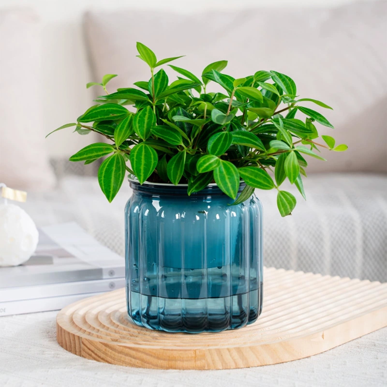 Harlier Self Watering Planter Plastic, 4 Inch Plant Pots Indoor, Small Self Watering Orchid Pot Pumpkin Planter Flower Pot for All House Plants, Flowers, African Violets (Blue)