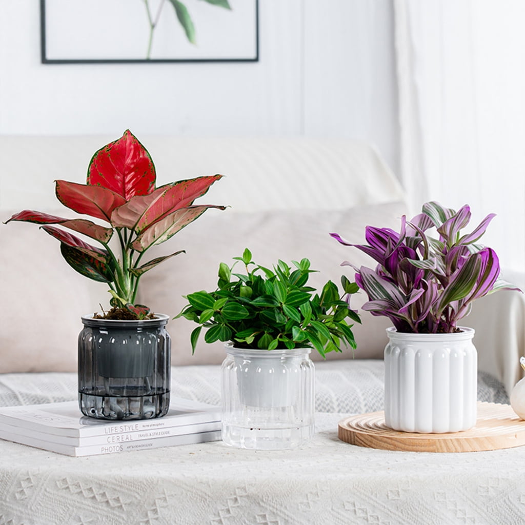 Stylish Self Watering Planter with Large Capacity for Extended Watering Interval