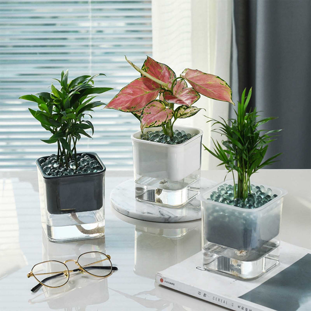 COM1950s Self-Watering Planter- Self Watering Pots for Indoor Plants,Clear Plastic Automatic-Watering Planter Flower Pot Square-Plant-Pot for All Plants,Succulents,Herb,African Violets,Flowers (4X4In)