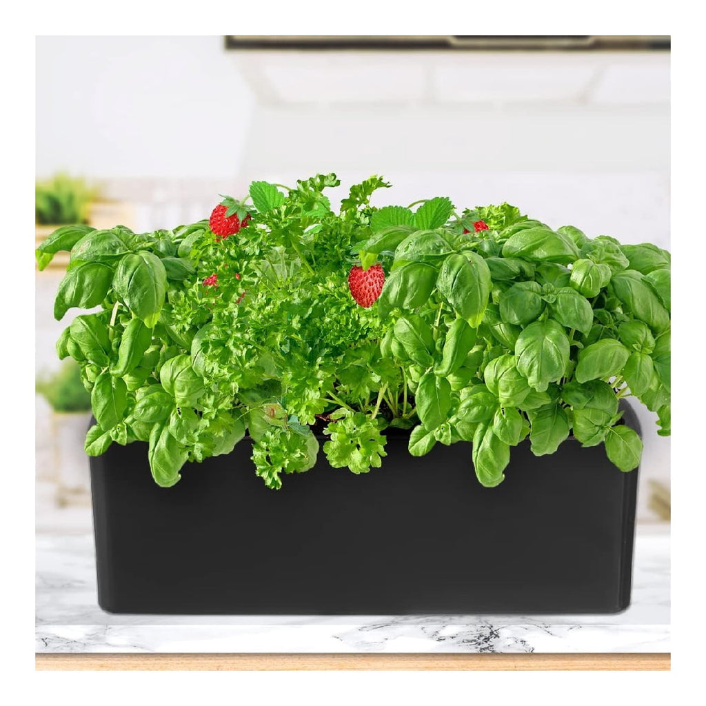 Modern Indoor Succulent Pot,QZS Plastic Windowsill Planter for Flowers,12x3.8x4.6In Self Watering Planter Pot for Vegetable,Flowers