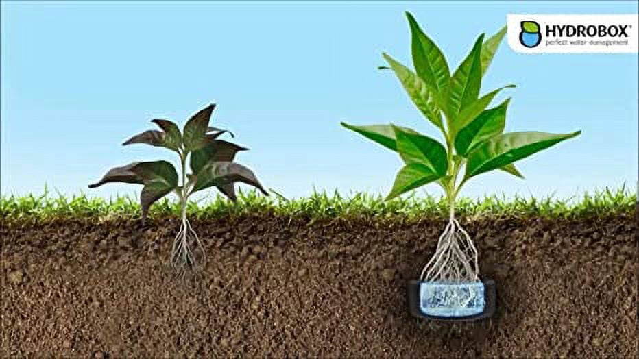 HYDROBOX 5.9'' Round Black Smart Planter with Self-Watering Feature
