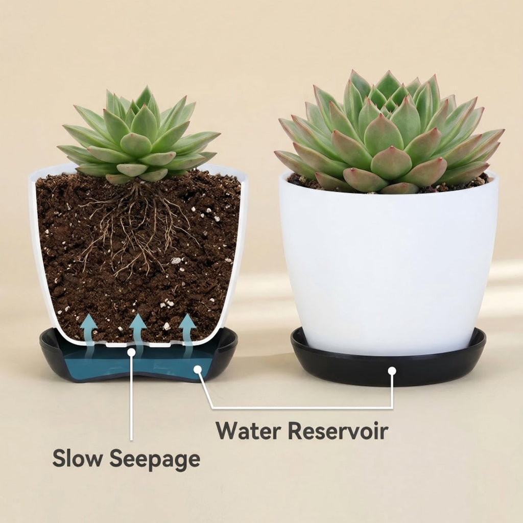 weibbin Self Watering Plastic Planter with Detachable Saucer 3.3in, for Succulents Herbs