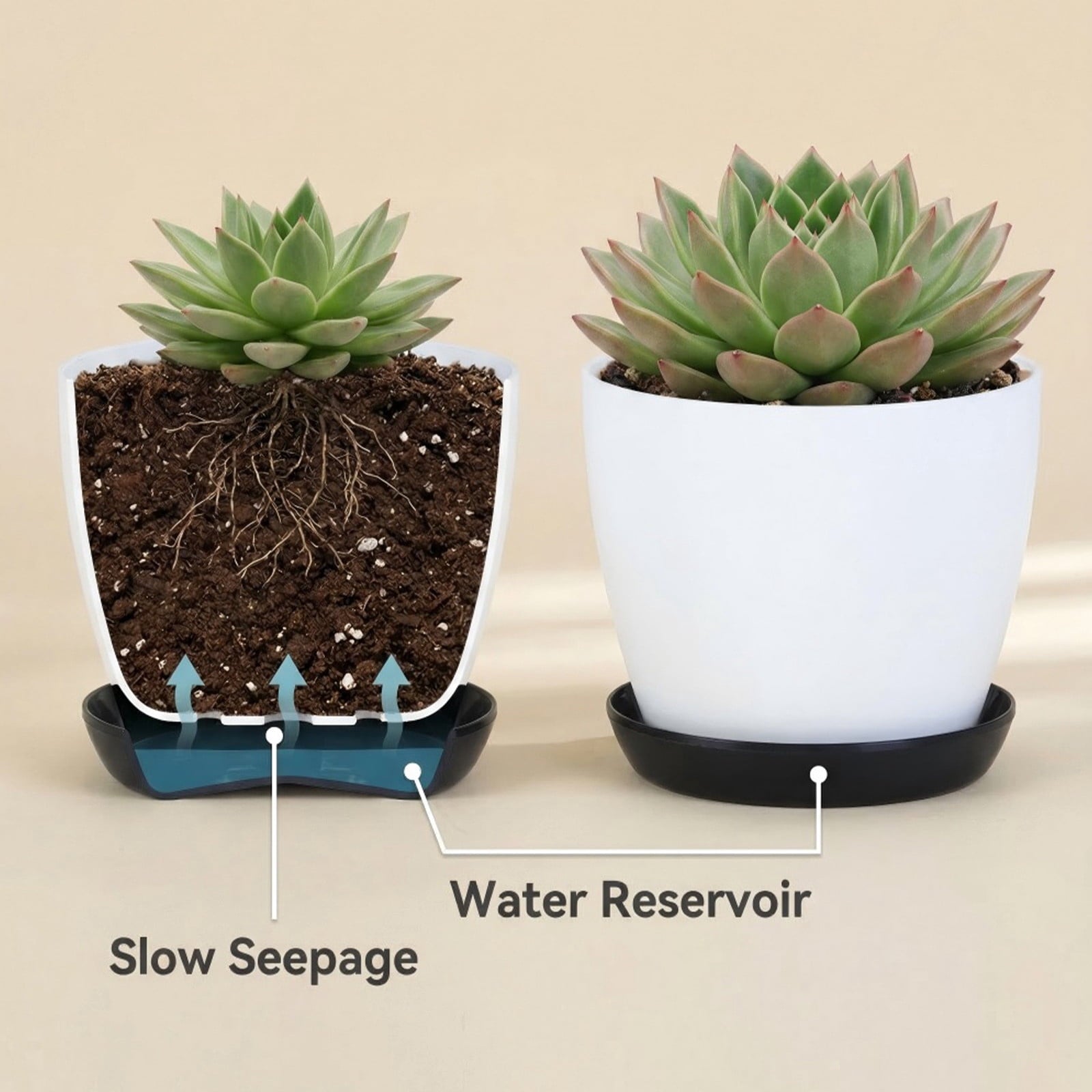 weibbin Self Watering Plastic Planter with Detachable Saucer 3.3in, for Succulents Herbs
