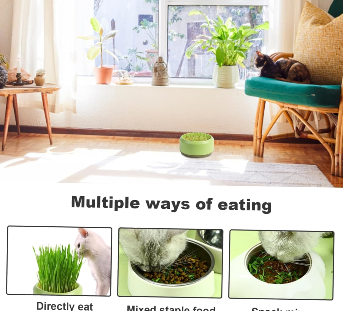 Trianu 2 Pack Cat Grass Planter Self Watering Pots Cat Plant Nursery Planting Box Cat Grass Planting Container Hydroponic Plants for Cats (Yellow, NO SEEDS)