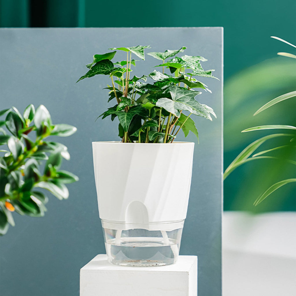 Self Watering Pots - 2 Pack Indoor Planters with Wick Ropes & Drainage Holes - Modern White Orchid Pots with Water Reservoir for African Violets, Herbs, and Houseplants