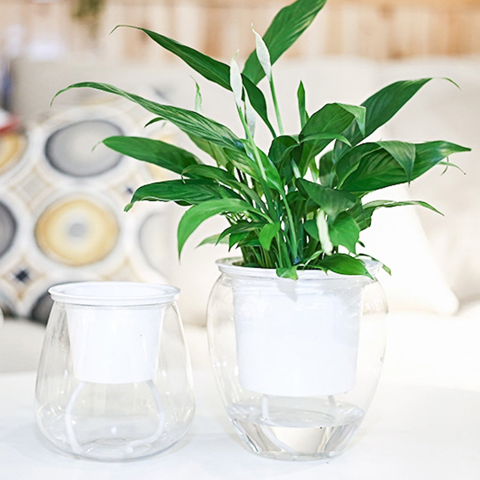 SPRING PARK Self Watering Planter, Violet Pots, Clear Plastic Automatic-Watering Planter Flower Pot Plant Pot for All House Plants, Succulents, Herb, African Violets