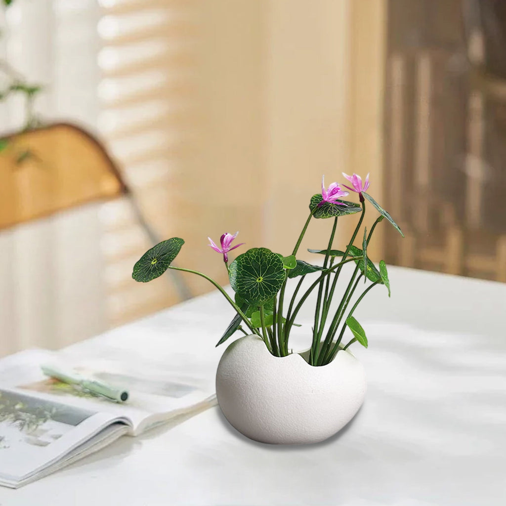 Ceramic Hydroponic Flower Pot for Succulents, Creative Self Watering Planter for Home Gardening, Modern Home Furnishings and Tabletop Decor, Indoor Plant Pot