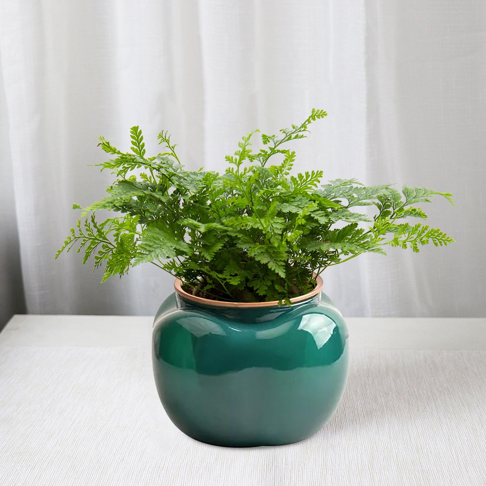 WMGHA 5.3 Inch Self Watering Plastic Planter with Water Container, Modern Decorative Planter Flower Pot for House Plants, Herbs, Aloe, African Violets, Succulents
