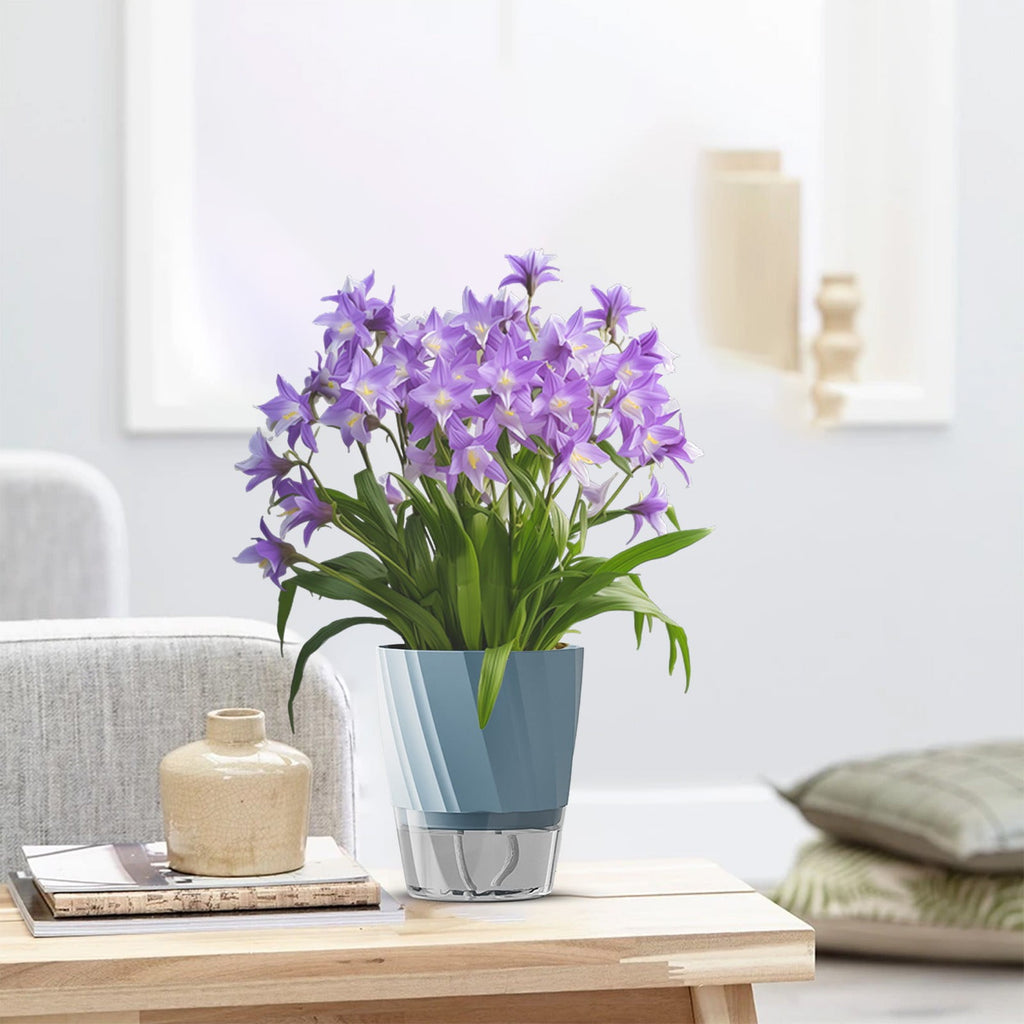 Todaioua Plant Pots 6 inch, Self Watering Flower Pots Indoor Outdoor, Planters with Clear Saucer Reservoir for Spider Plant, Orchid, African Violet
