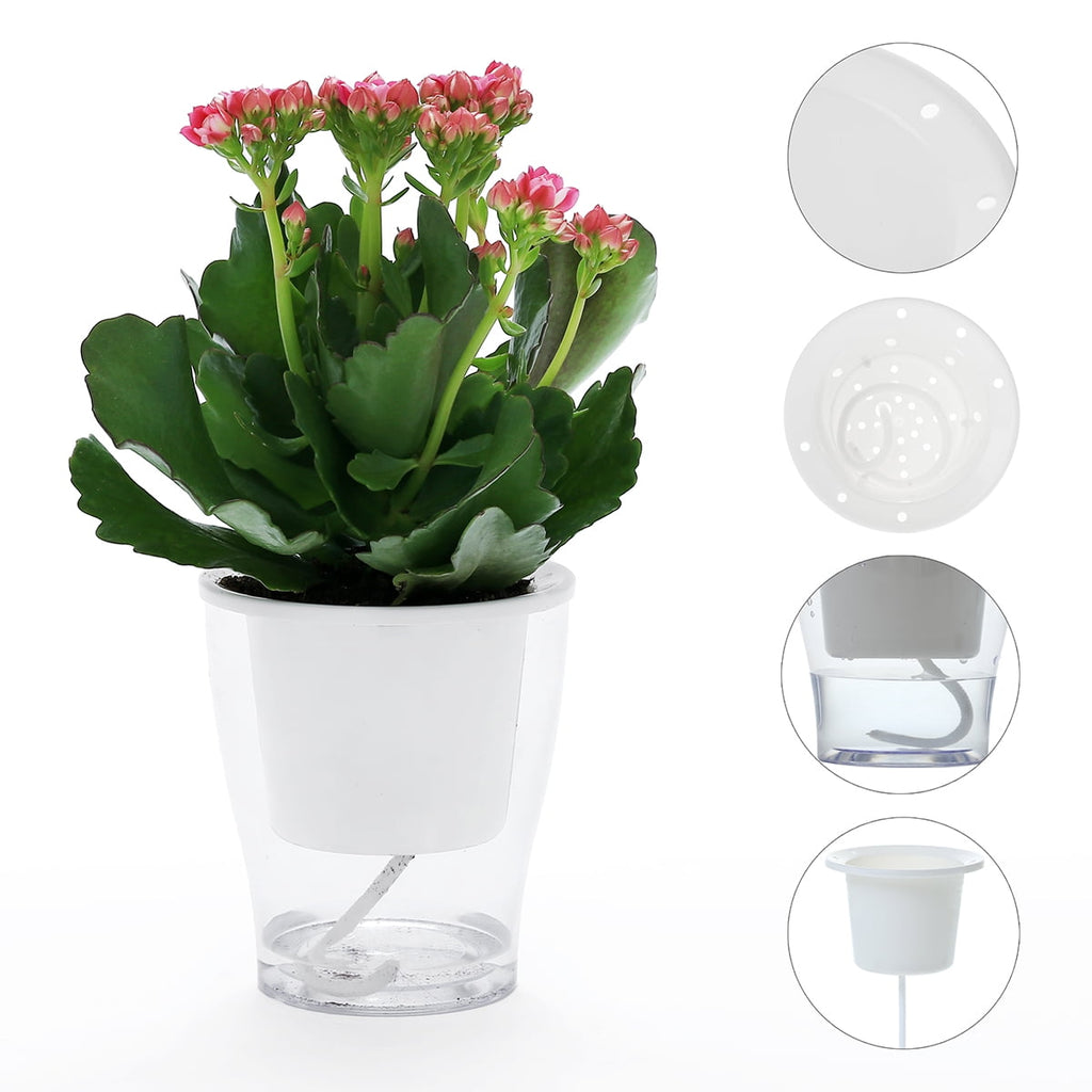 5 Packs 4.3 Inches Clear Self Watering Planters Plastic Self Watering Pots Wick Flower Pots for Indoor Plants, African Violet, Ocean Spider Plant, Orchid, Clear and White