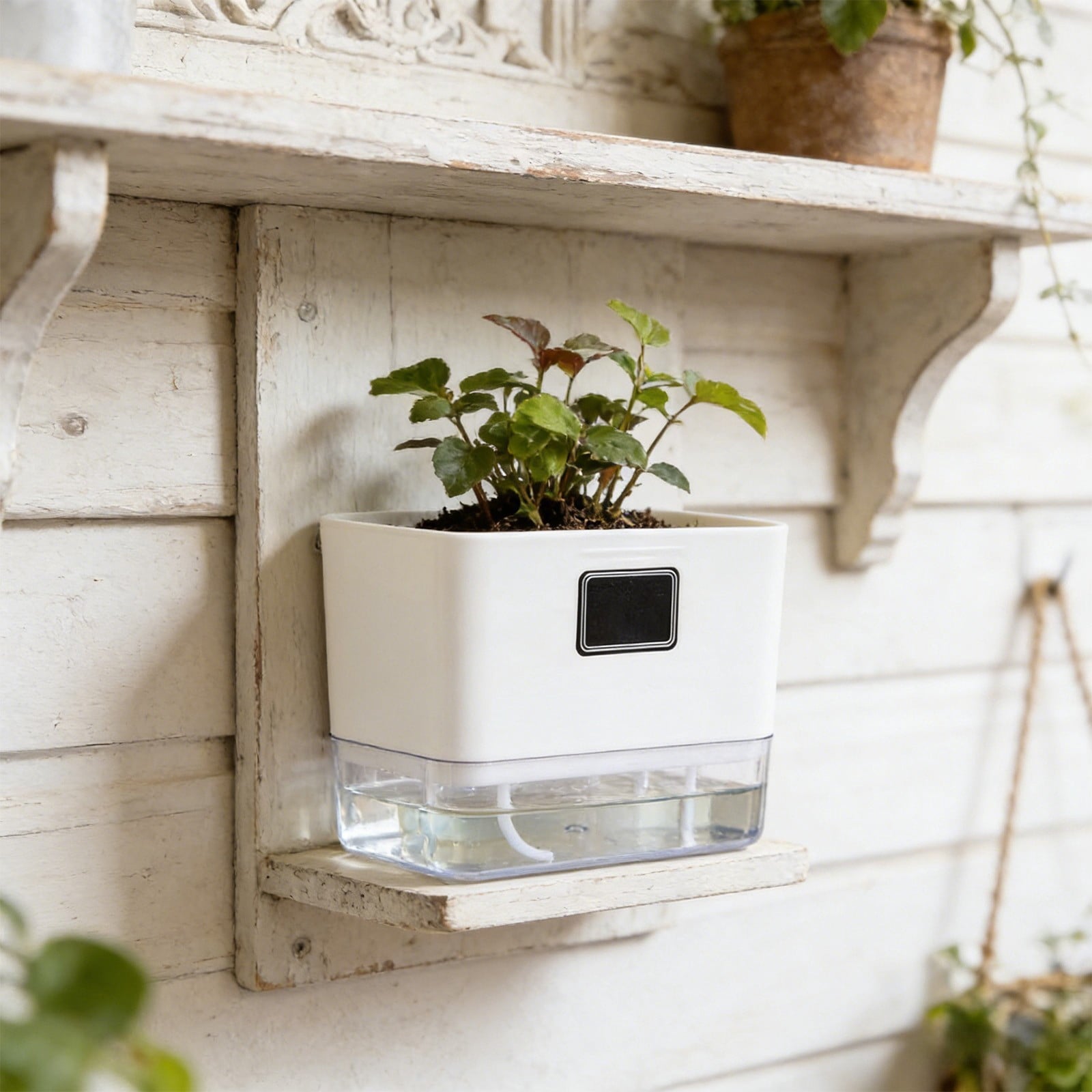 Self Watering Planters 1 Pack锛宻elf Watering Pots for Indoor Plants锛宎utomatic Moisturizing锛宼ransparent Square Flower Pot for Indoor and Outdoor Plants Succulents Violets Ivy