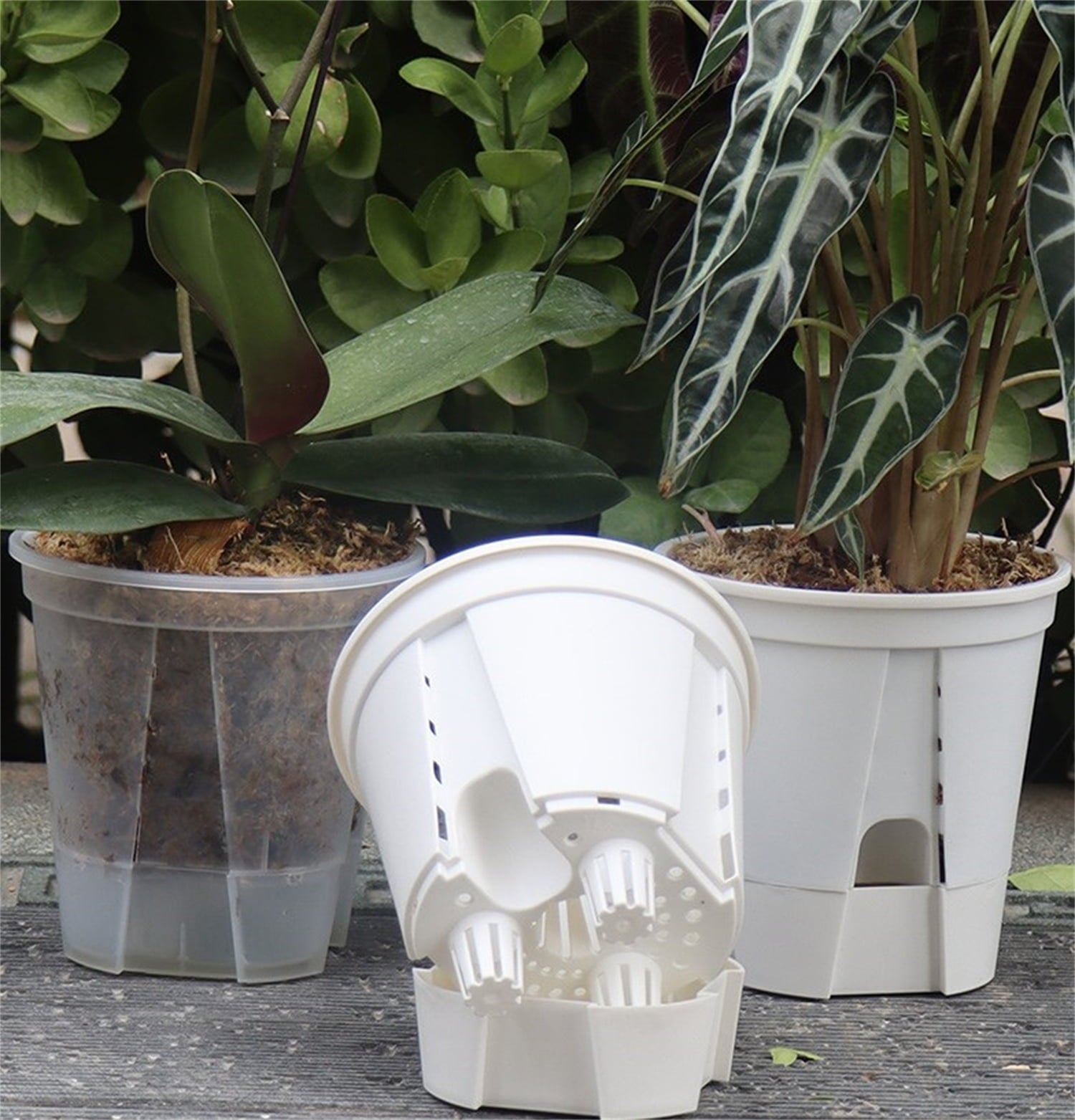 Self Watering Pots,Bexikou Set of 3 Plastic Planters with Drainage Holes and Deep Reservoir for Indoor Outdoor Garden Plants and Flowers, White
