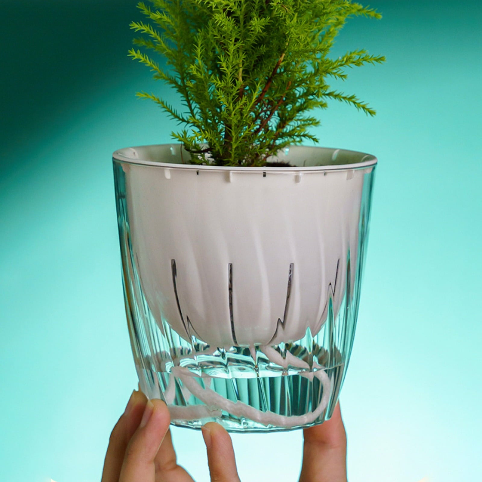 Transparent Self Watering Planter Double Layer Reservoir Small Plastic Flower Pot for Succulents Herbs Office Plants