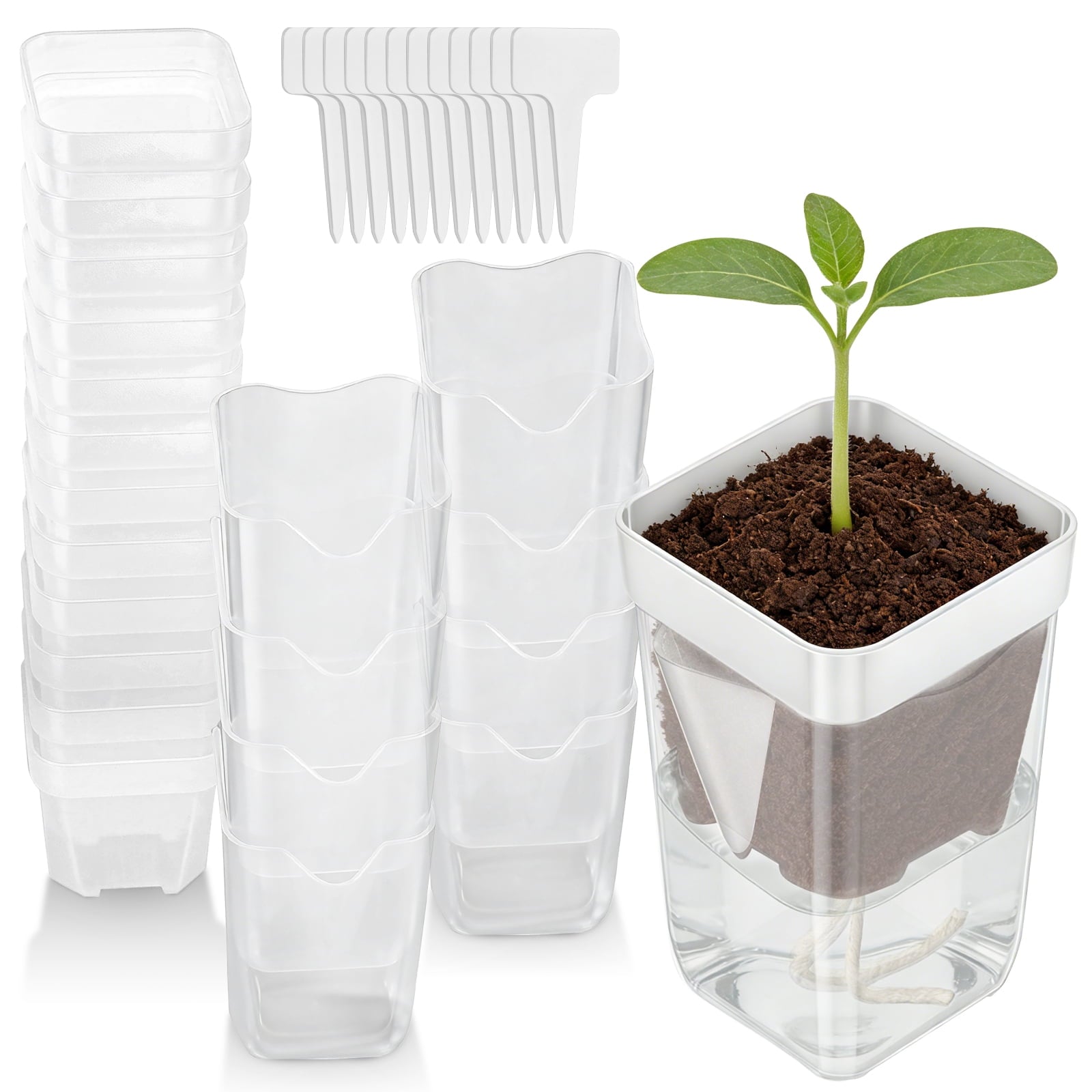 12 Pack Self Watering Plant Pot Mini Self Watering Pot for Indoor Small Clear Plastic Planter for Propagation Cutting Seeding with Reservoir Drainage Holes and Labels