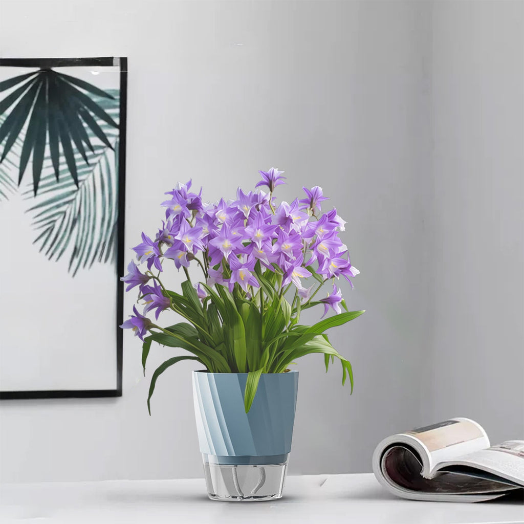 Self Watering Flower Pot Automatic Water Absorbing Planter for Indoor Plants Succulent Pots Removable Bottom and Air Flowing for Easy Care