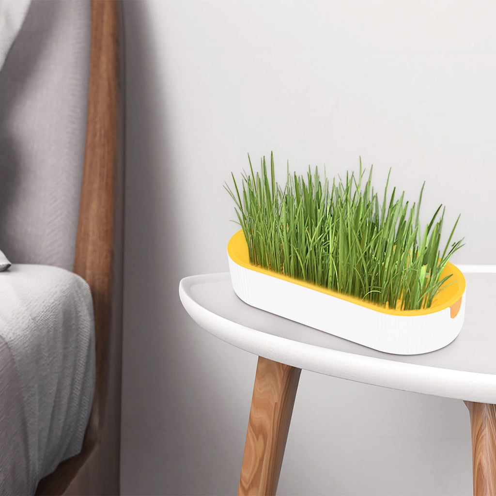 Cat Grass Planter, Hydroponic Planter, Hydroponic Grass Planter, Self Watering Cat Grass Planting Container Soilless Pots Window Planting Box Hydroponic Planter Nursery Planting Pots Growing Products