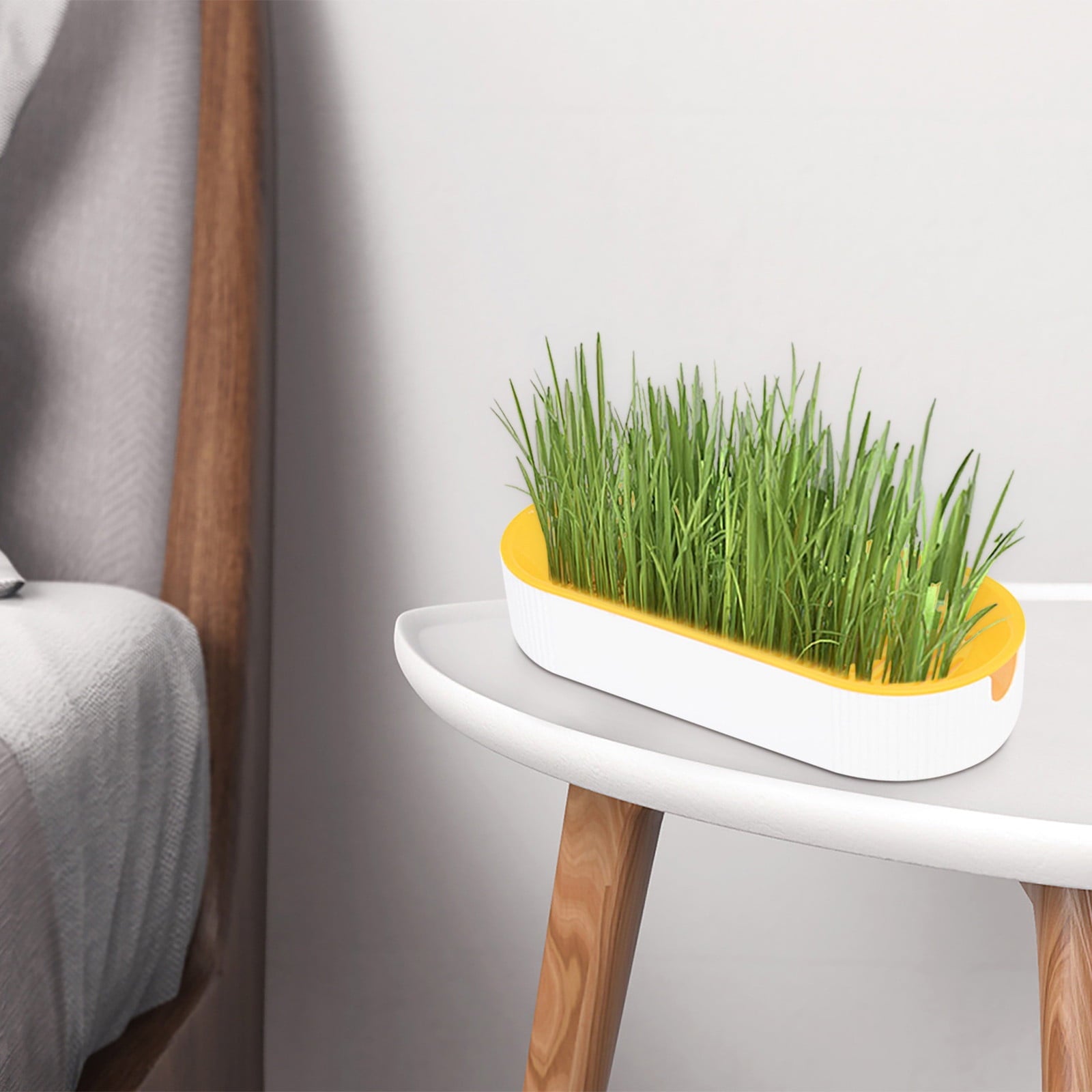 Cat Grass Planter, Hydroponic Planter, Hydroponic Grass Planter, Self Watering Cat Grass Planting Container Soilless Pots Window Planting Box Hydroponic Planter Nursery Planting Pots Growing Products