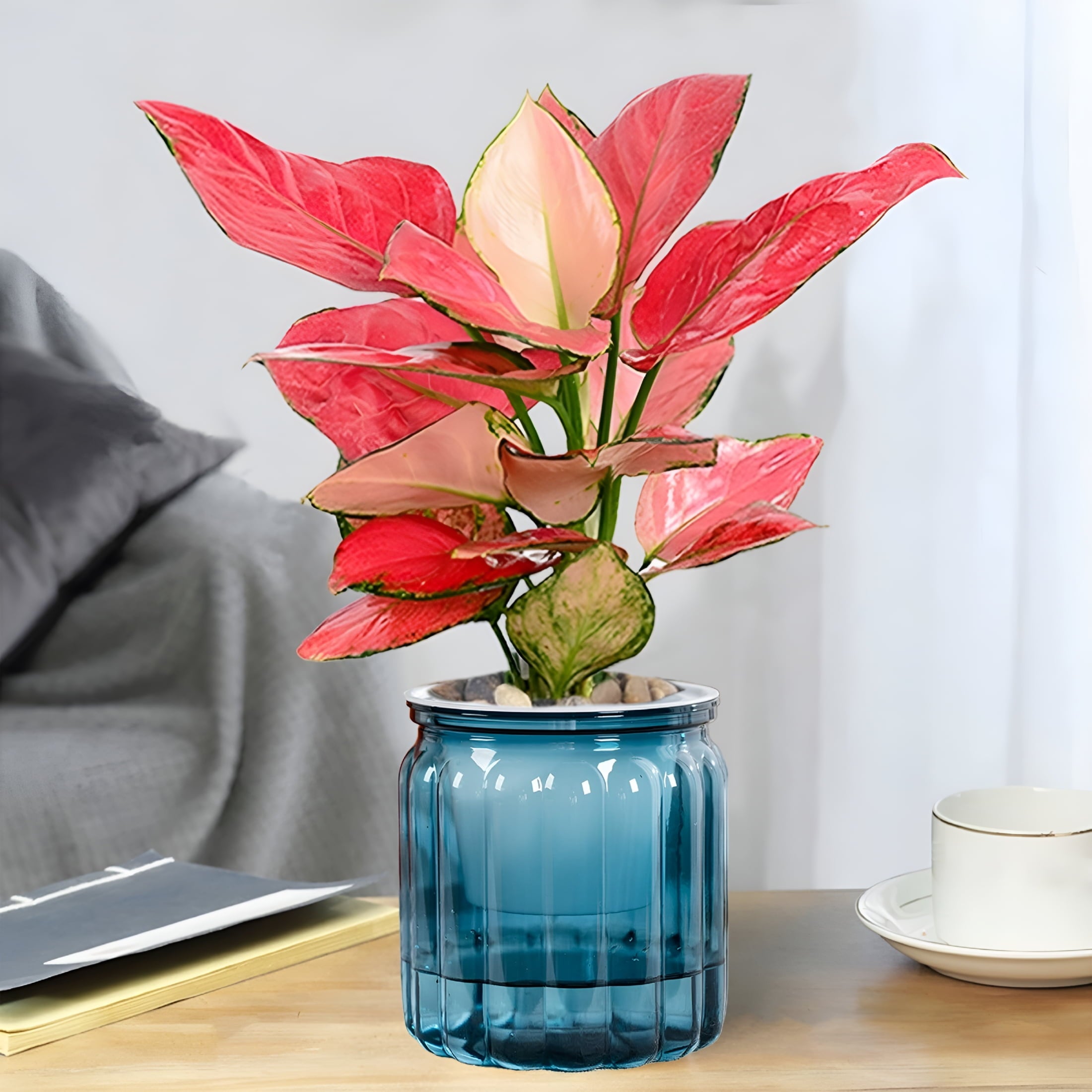 ACDANC 2026 New Self-Watering Plants Pots - 4.5" Transparent Plastic Planter with Water Reservoir,Automatic Watering Flower Pot for Indoor Plants,Desk Decor for Succulents,Herbs & Small Plants (Blue)