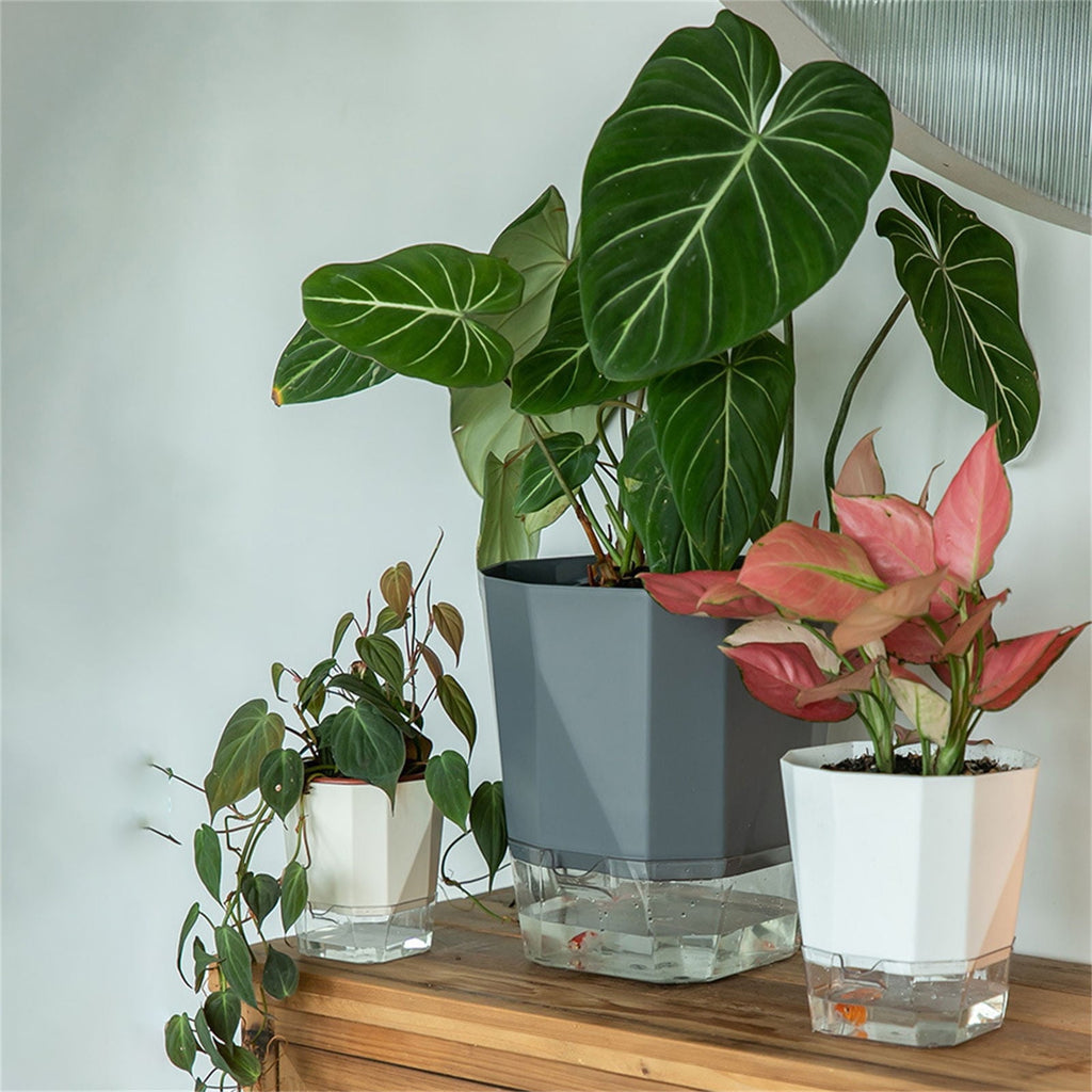 Self Watering Pots For Indoor Plants, 6.89 Inchplastic Self Watering Planter Pots With Wick Rope And Reservoir For Indoor Plants, African Violets, Herbs, Gardening Pots, Planters & Accessories,White