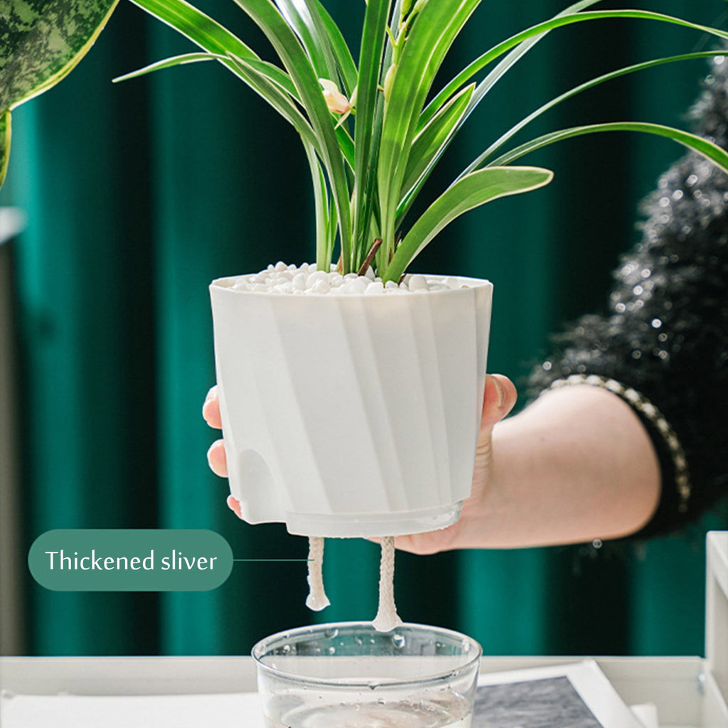 Self Watering Planter African Violet Pots Clear Plastic Automatic Flower Pot Square Plant For All House Plants Succulents Herb