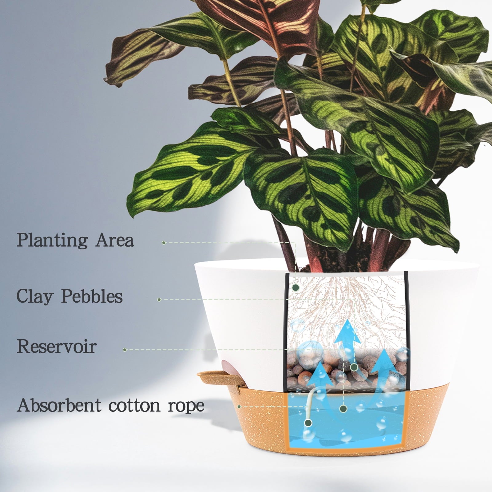 FIASON 9 Pack Plastic 5/5.5/6/6.5/7/8/9/10/12 Inch White with Brown Self Watering Plant Pots,Include Watering Lip,Drainage Holes & Removable Saucer for Indoor Outdoor Use