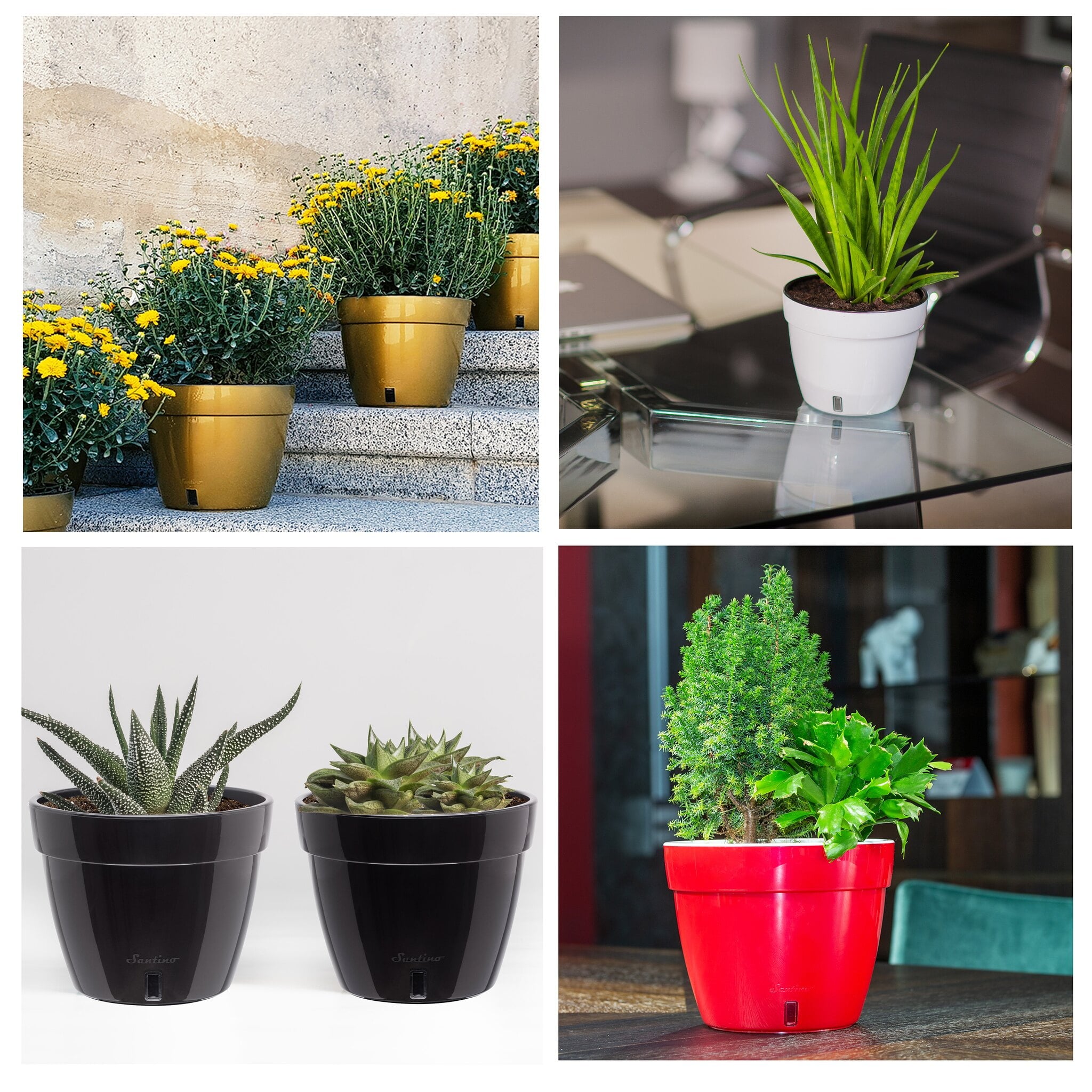 🪴 Santino ASTI 11.8 Inch Self Watering Planter GREY/WHITE for Indoor Plants - Modern Plastic Planter Pot w/ Water level Indicator for All House Herbs, Plants, African Violets and Dahlias
