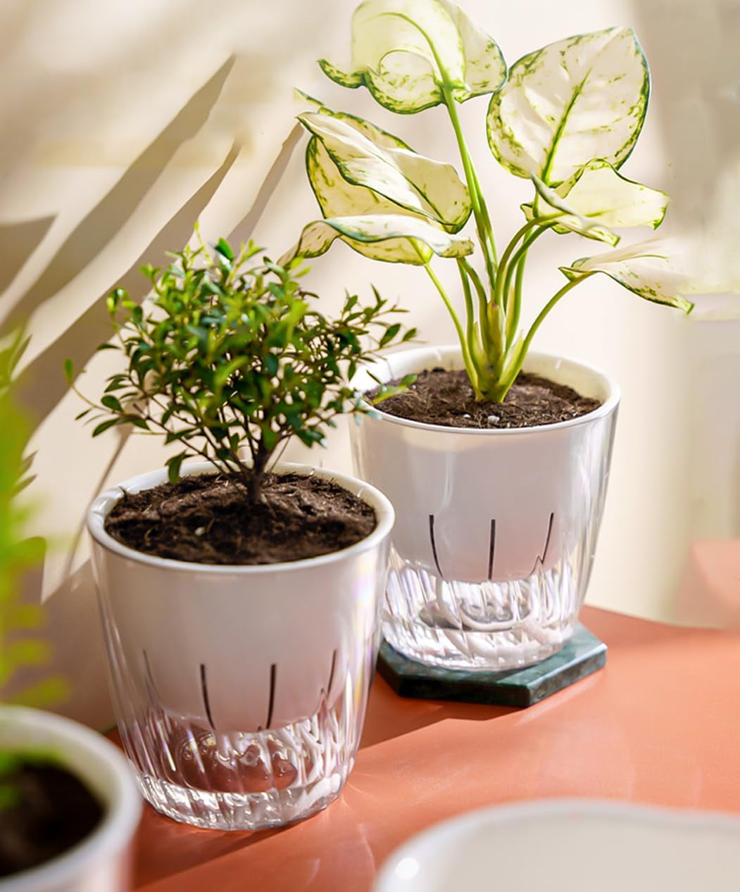 4Pcs Self Watering Planters, 4.53inch Transparent Flower Pots for Indoor Plants, Perfect for African Violet, Monstera, Succulents, Herbs & Decorative Flowers(Style 1)