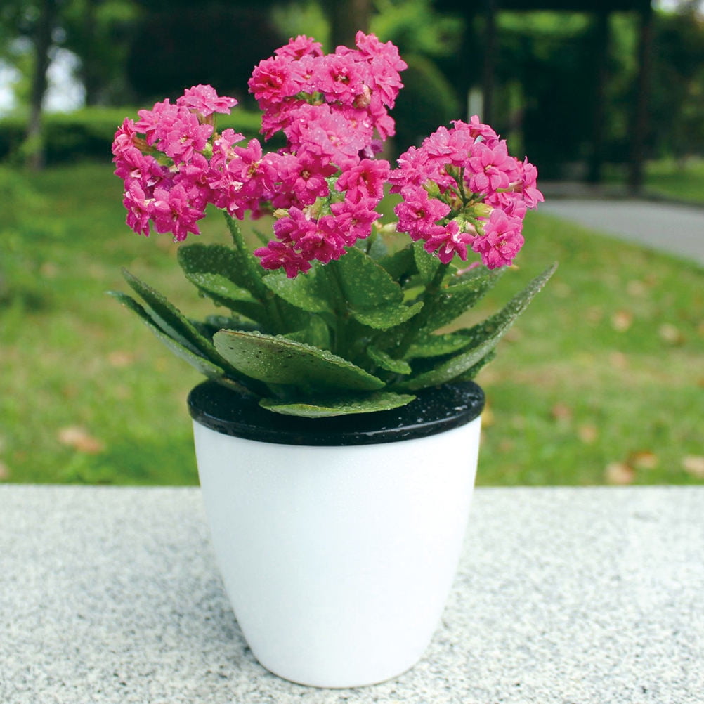 Masteelf Creative Automatic Watering Succulent Plant Pots Round Plastic Flower Pot Self-watering Planter for Home Office Garden (Outside 12cm)