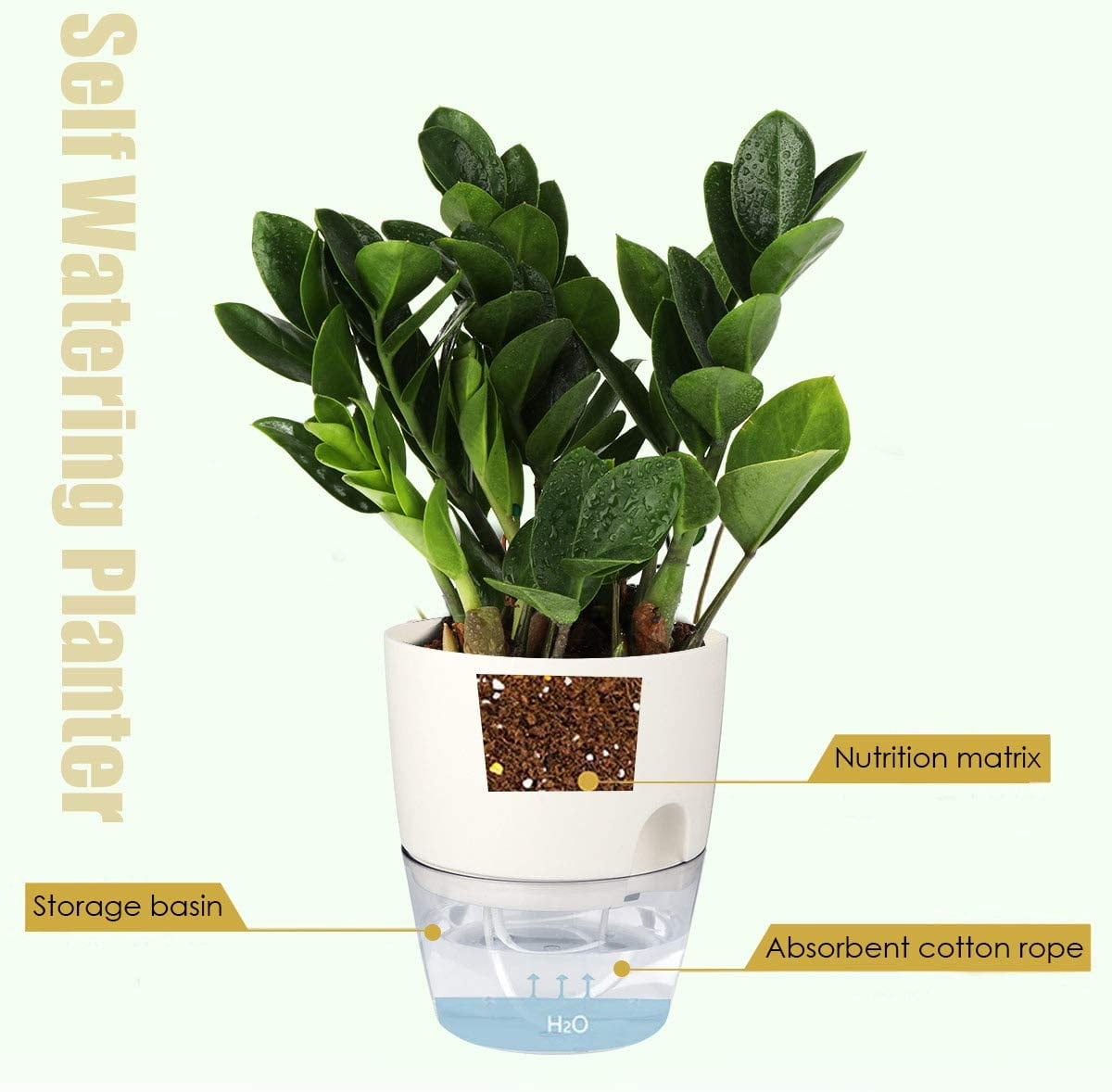 Chainplus 3 Pack Self Watering Planter Pots for Indoor Plants, 6 Inch African Violet Pots with Wick Rope,White