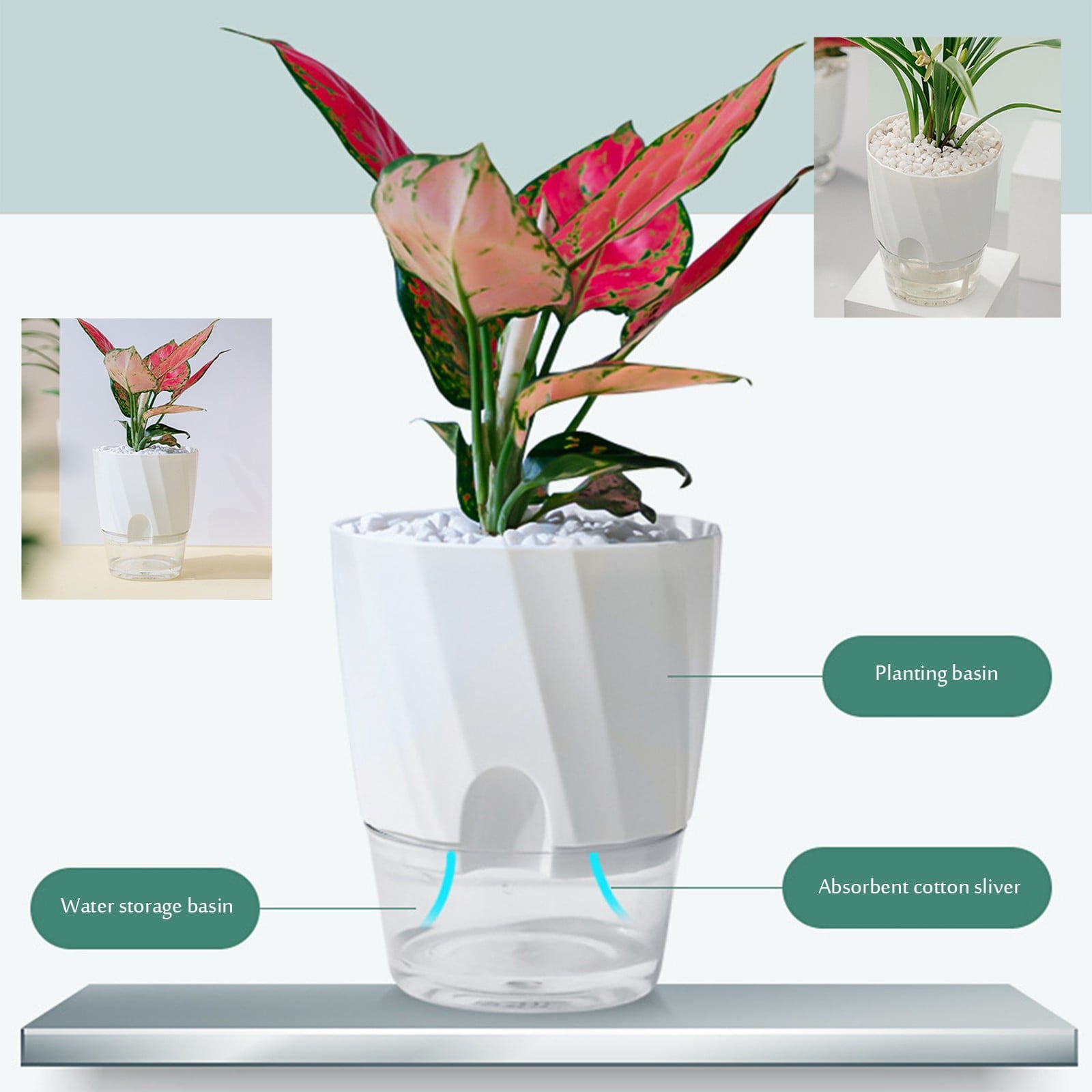 Plant Pots Self Watering Planter 6 Inch Plant for Indoor Plants with Drainage Hole and Clear Tray Self Watering Planter Garden Planting Pots Planting Indoor Outdoor Garden Plants Home Decor (White)