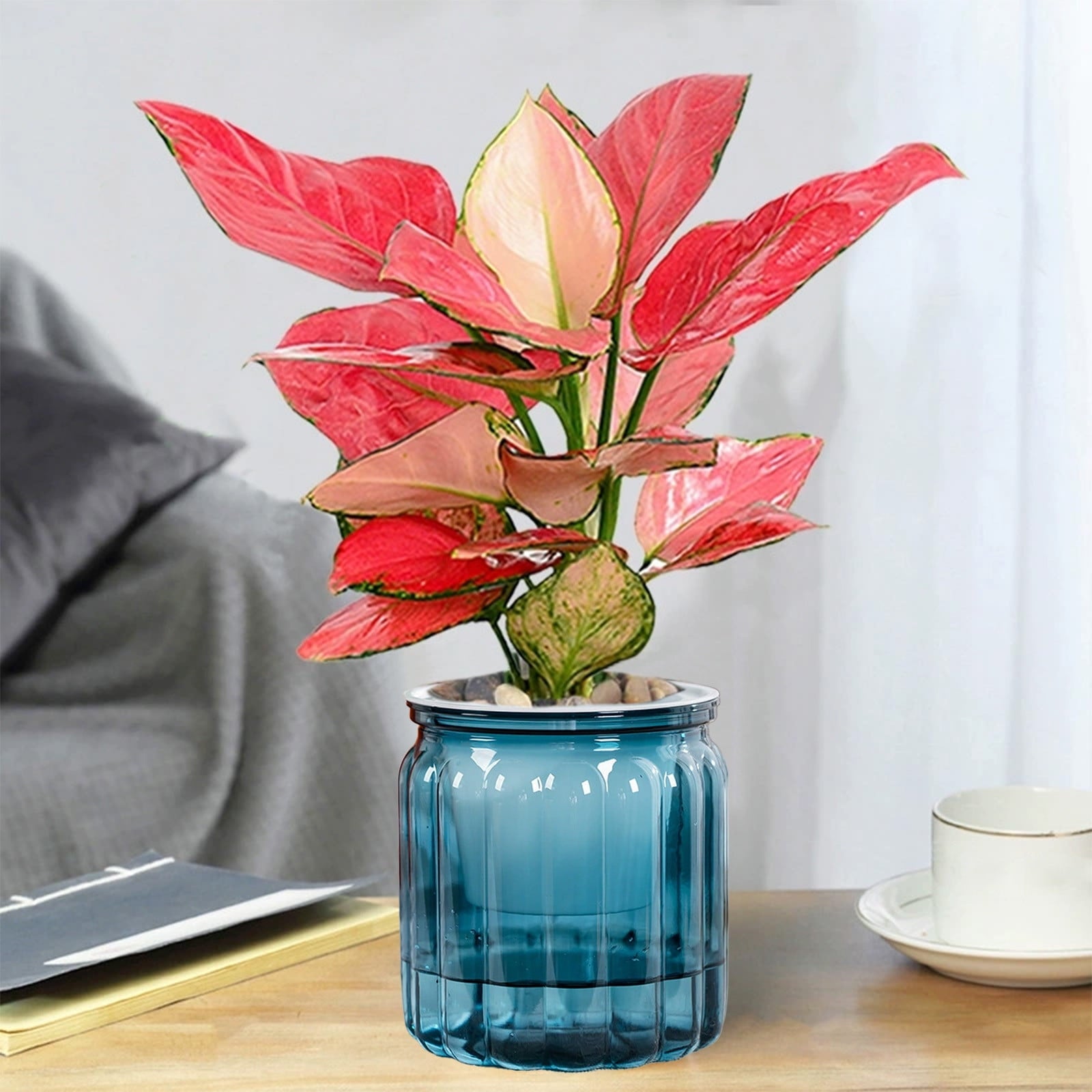 Sentmoon Planter Transparent Hydroponic Pot Large Vertical Ribbed Clear Plastic Planter Desktop Indoor Self Watering Pot for Green Lovers Home Office Terrarium