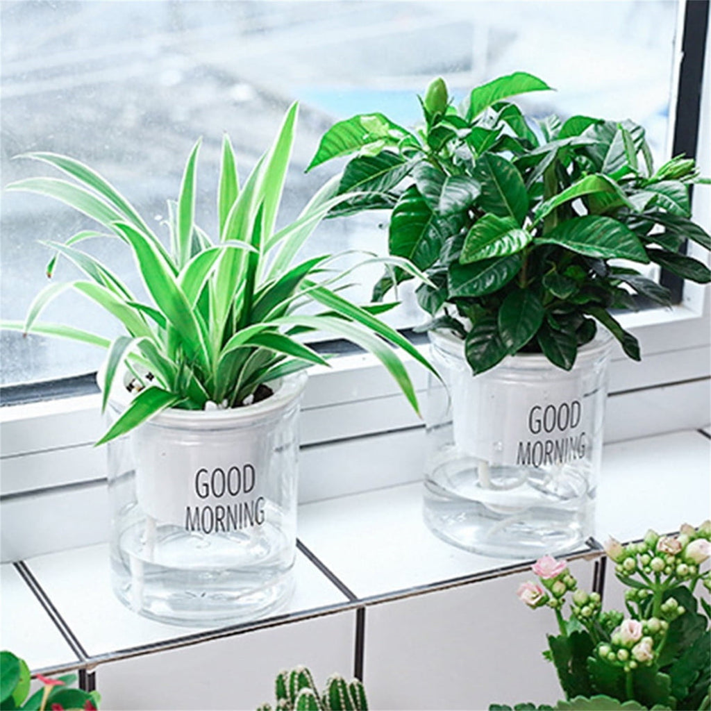 EZPXFCI 1PCS Self Watering Planters 4.72 Inch Self Watering Pots for Indoor Plants, African Violet Pots with Wick Rope, Flowers, Succulents, Herb, House Plants