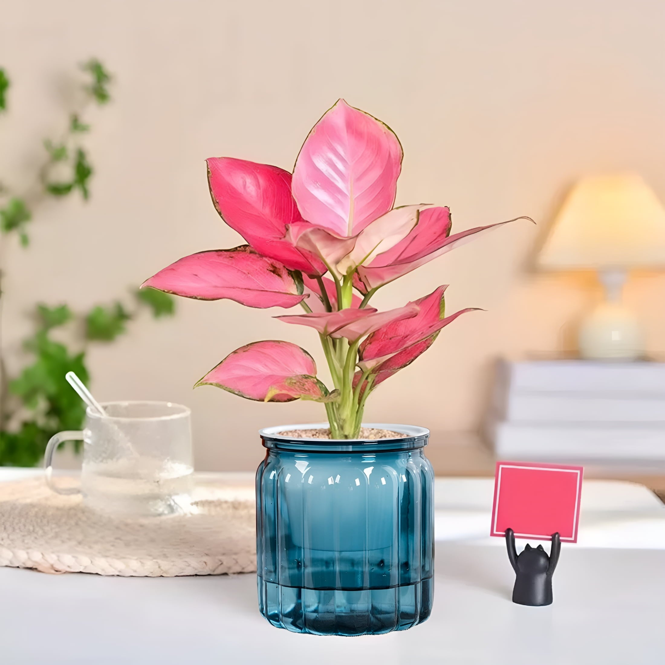 ACDANC 2026 New Self-Watering Plants Pots - 4.5" Transparent Plastic Planter with Water Reservoir,Automatic Watering Flower Pot for Indoor Plants,Desk Decor for Succulents,Herbs & Small Plants (Blue)