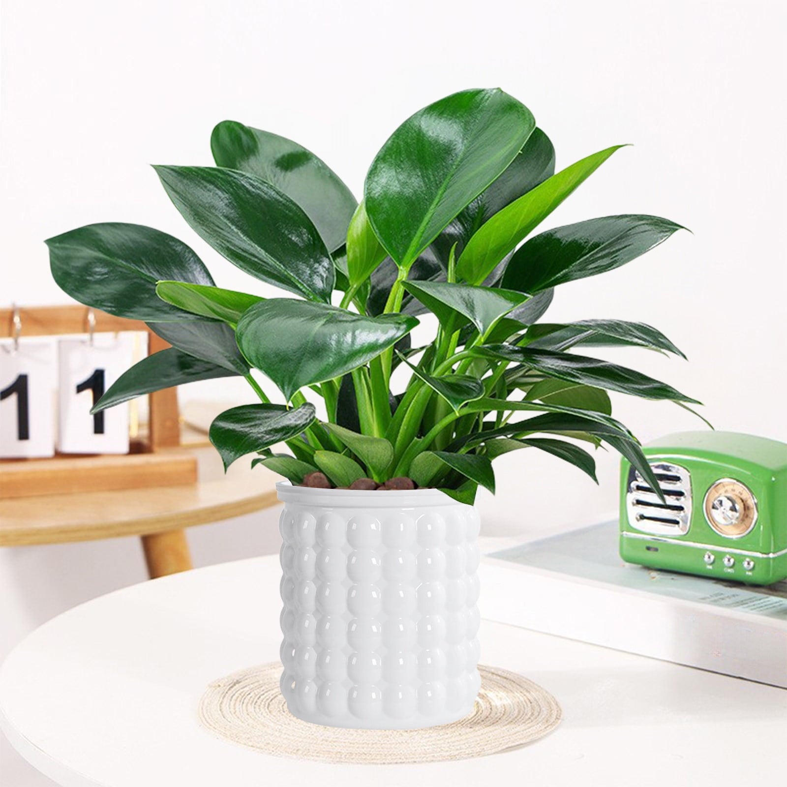 syligr Self Watering Transparent Flower Pot Plastic Planter 5x4 Inch Beige White Gray Green for Small Plants Succulents Herbs Hydroponics Indoor Home Decor Automatic Watering System