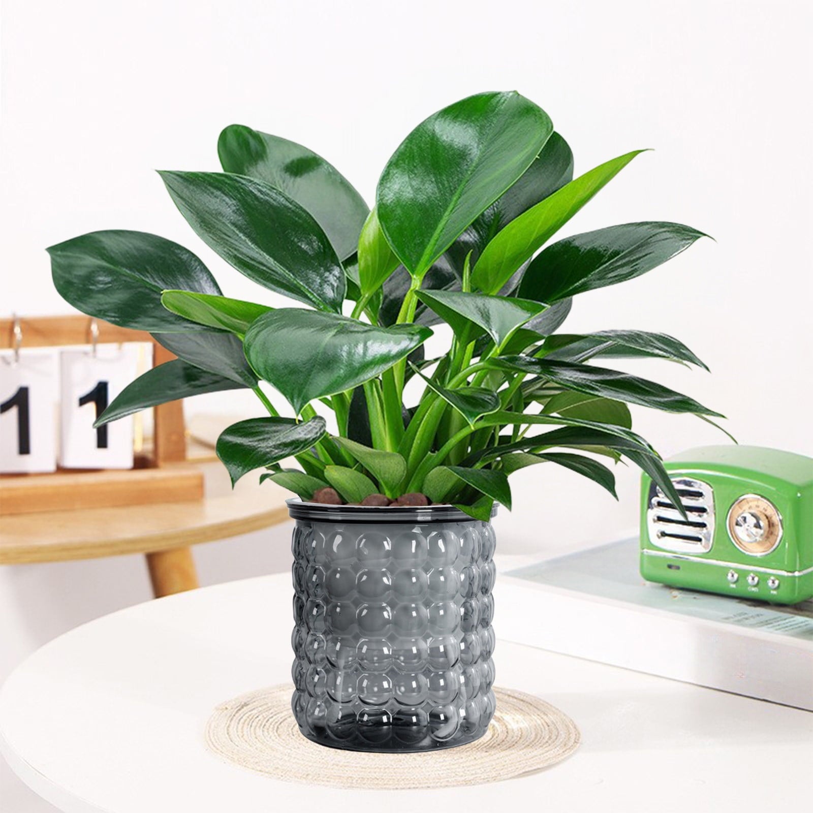 syligr Self Watering Transparent Flower Pot Plastic Planter 5x4 Inch Beige White Gray Green for Small Plants Succulents Herbs Hydroponics Indoor Home Decor Automatic Watering System