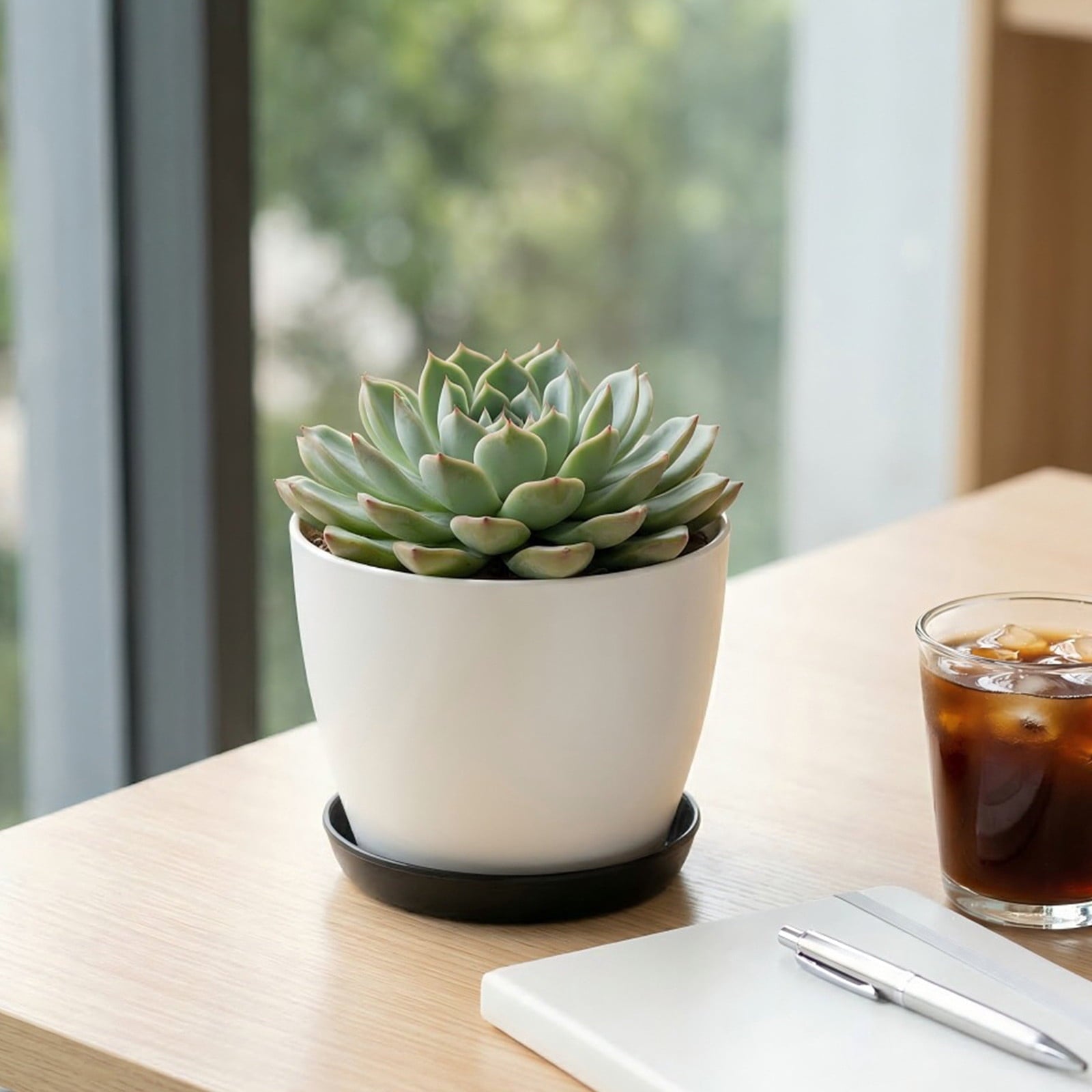 weibbin Self Watering Plastic Planter with Detachable Saucer 3.3in, for Succulents Herbs